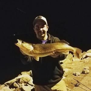 Meet your Posher, Caleb